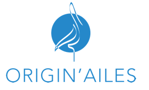 Logo partenaire origin'ailes Kidcab