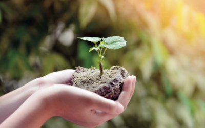 Initier les enfants à l’écologie : guide pour un avenir durable