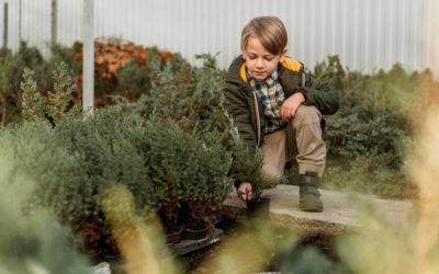 Idées d’activités pour prendre l’air avec vos enfants